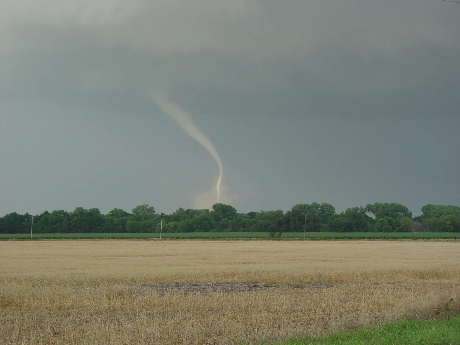 Tornado funnel touching down over an open field under storm clouds