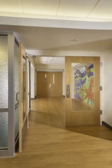 commercial-hospital-doors