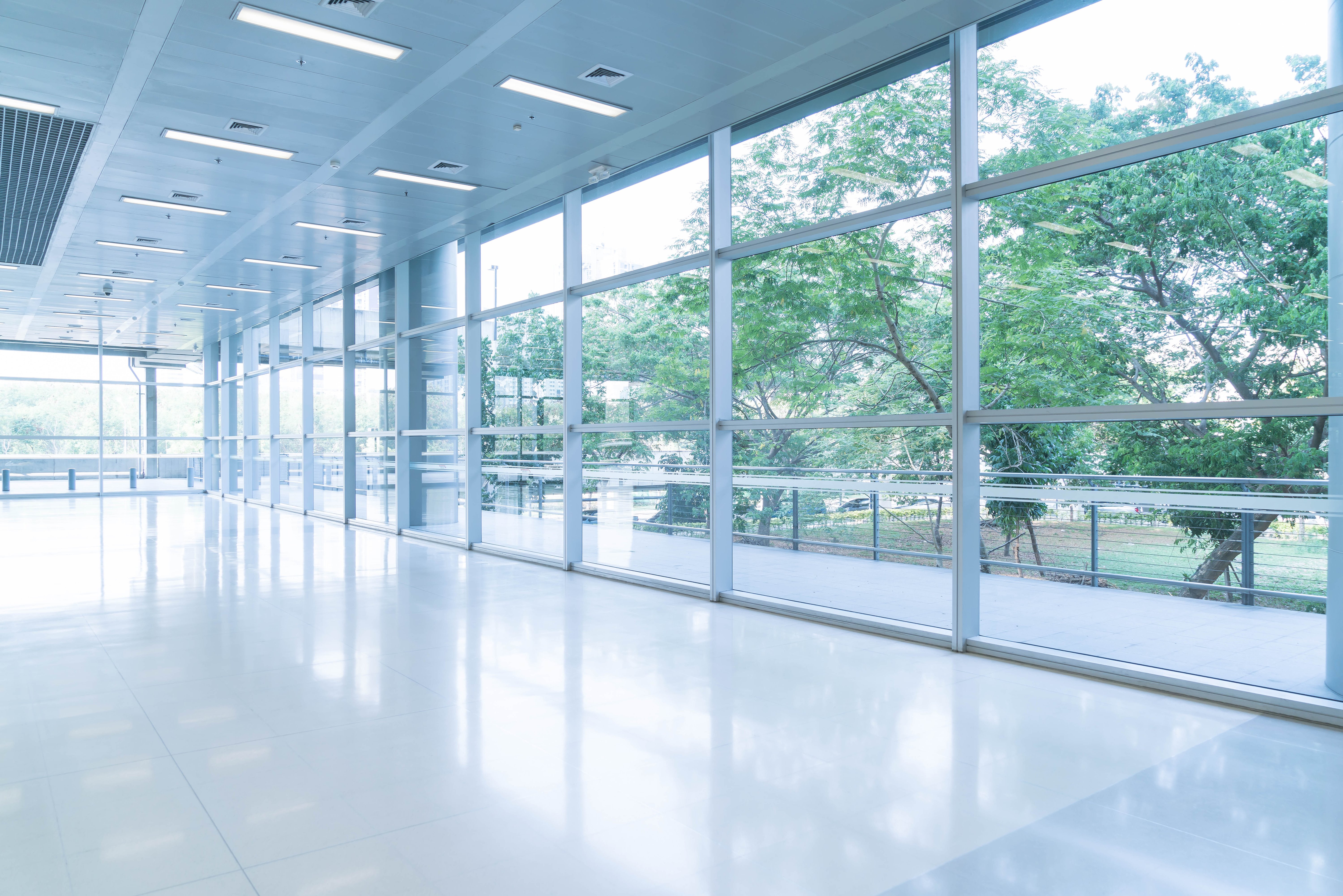 blurred-abstract-background-interior-view-looking-out-toward-to-empty-office-lobby-and-entrance-doors-and-glass-curtain-wall-with-frame