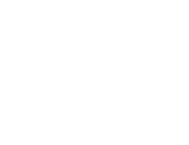 White - MN Logo Web PNG